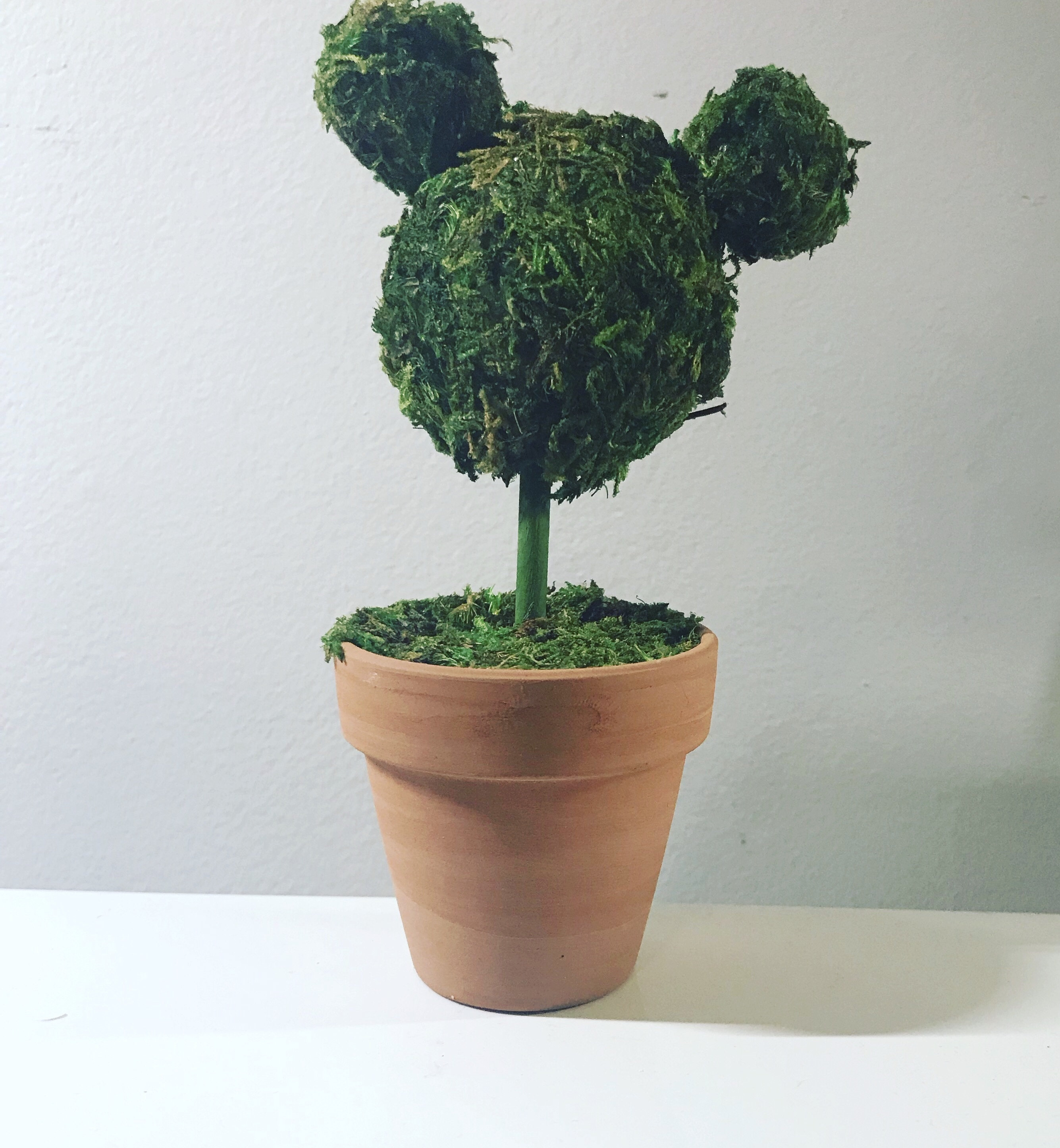 Mickey Desktop Topiary | Etsy
