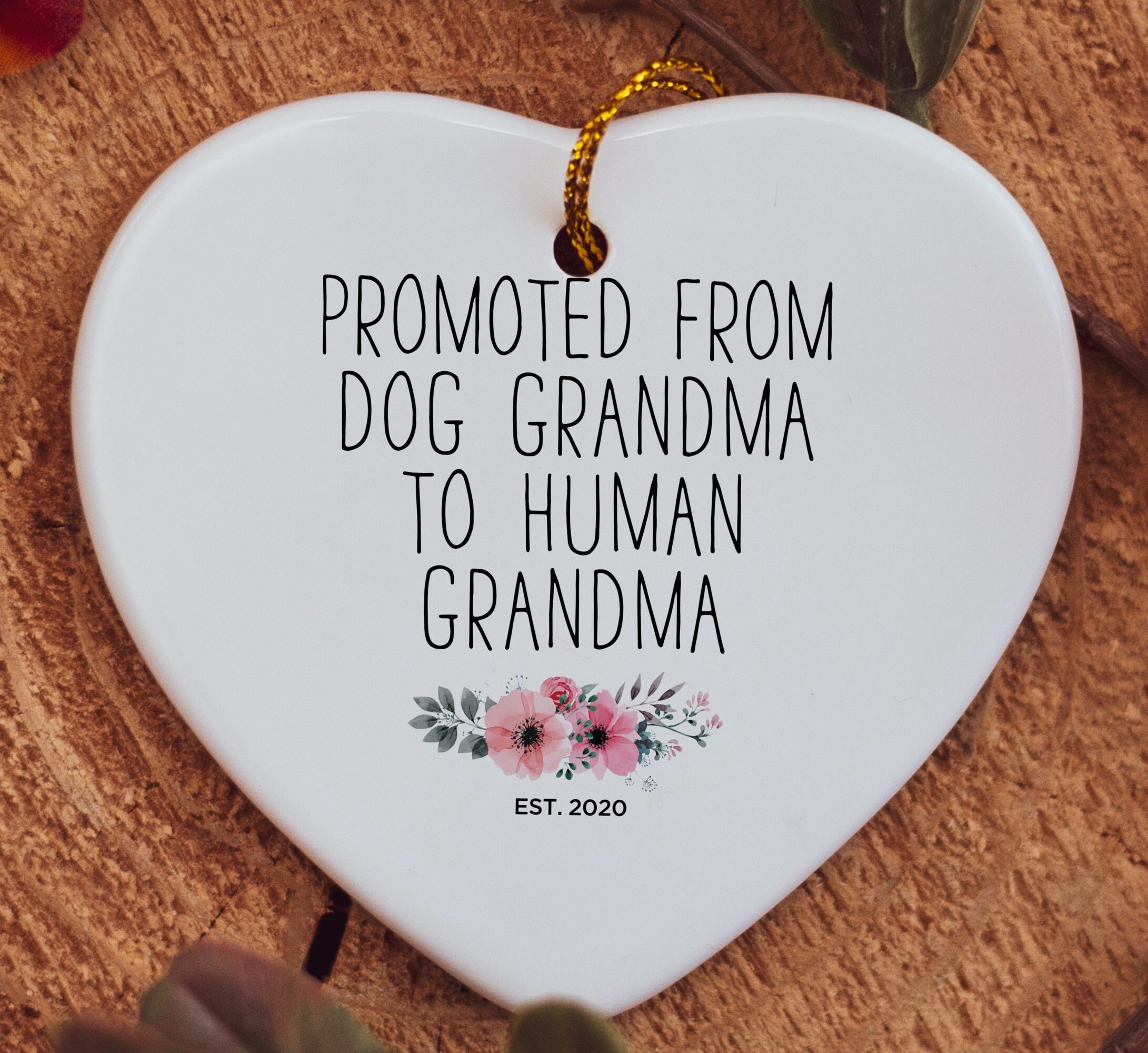 Personalized Promoted From Dog Grandma To Human Grandma Gift Etsy