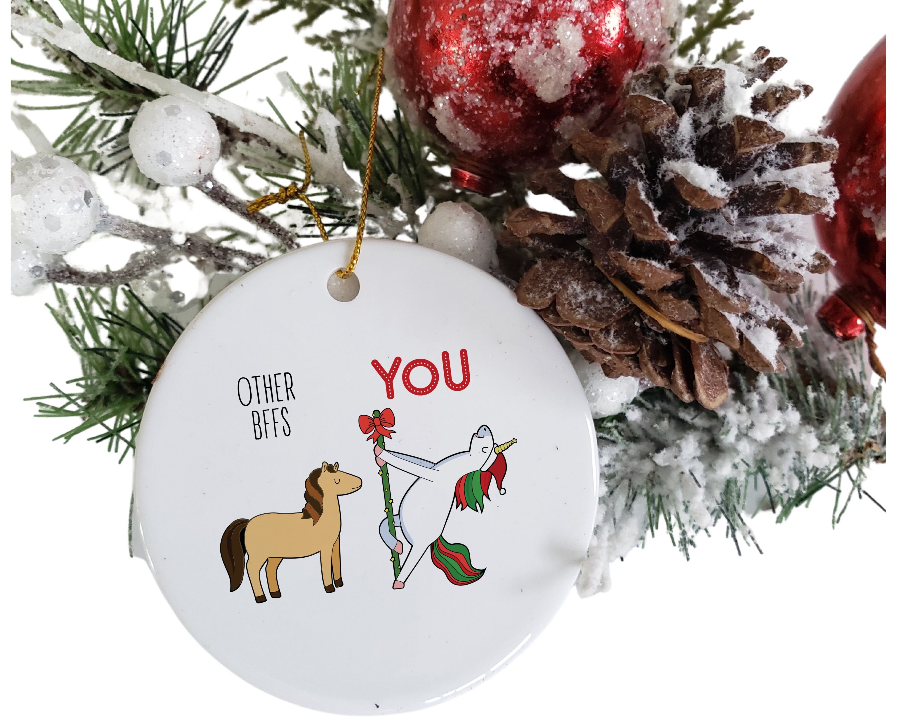 Best Friend Christmas Ornament Funny Bff Ornament Secret Etsy