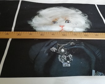 May include: A white cat with a fluffy white wig and a black and silver necklace is wearing a black outfit. The cat is looking directly at the camera. The image is a close-up of the cat's face and upper body.