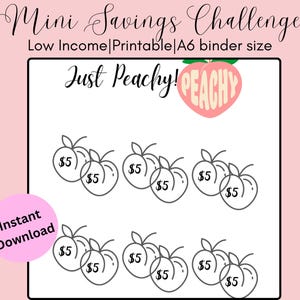 A6 Mini Savings Challenge Tracker|Low Income|Low Budget|Digital|Instant Download|Printable|Fits A6 Size Cash Envelopes|Planning