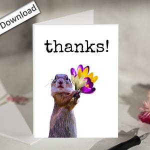 4x6, DANKE Karte, BEDRUCKBAR, Coworker, Für Arbeit, Büro, Boss, Bester Freund, Arbeit Bestie, Arbeit Team, Danke, süßes Eichhörnchen, Karte für Arbeit