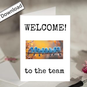 4x6, Benvenuto NUOVO DIPENDENTE, Biglietto, STAMPABILE, Benvenuto nel nostro team, Biglietto carino, Incontra il team, Biglietto per il nuovo lavoro, Nuovo membro del team, Biglietto di auguri di lavoro