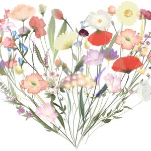 Set di biglietti d'auguri a forma di cuore con fiori di campo e adesivi in confezione regalo floreale