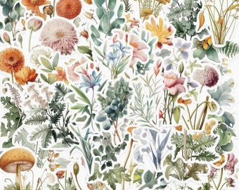 50 Botanical Flower Stickers, Waterproof Vinyl Cottagecore Floral Decals (Journals, Water Bottles)