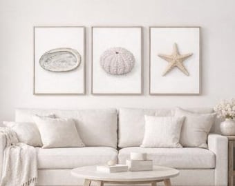 Coastal Wall Art Set, Abalone Shell, Sea Urchin, Starfish Prints (Digital Download)