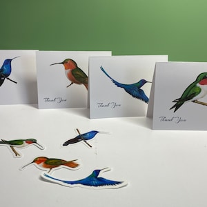 Juego de tarjetas de notas de colibrí: Impresionantes tarjetas de agradecimiento en blanco con sobres. Pegatinas a juego opcionales para sellar. 4, 8 o 16 tarjetas por juego.