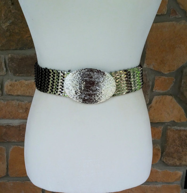 Elastic Stretchy Snake Fish Scale Silver Metal Disco Retro Vintage Belt Slinky Shiny Oval Textured Buckle