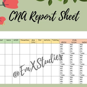 CNA Report Sheet, CNA daily flowsheet, PCT Report Sheet