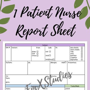 1 Patient Nurse Report, Colorful, Nurse Brain sheet
