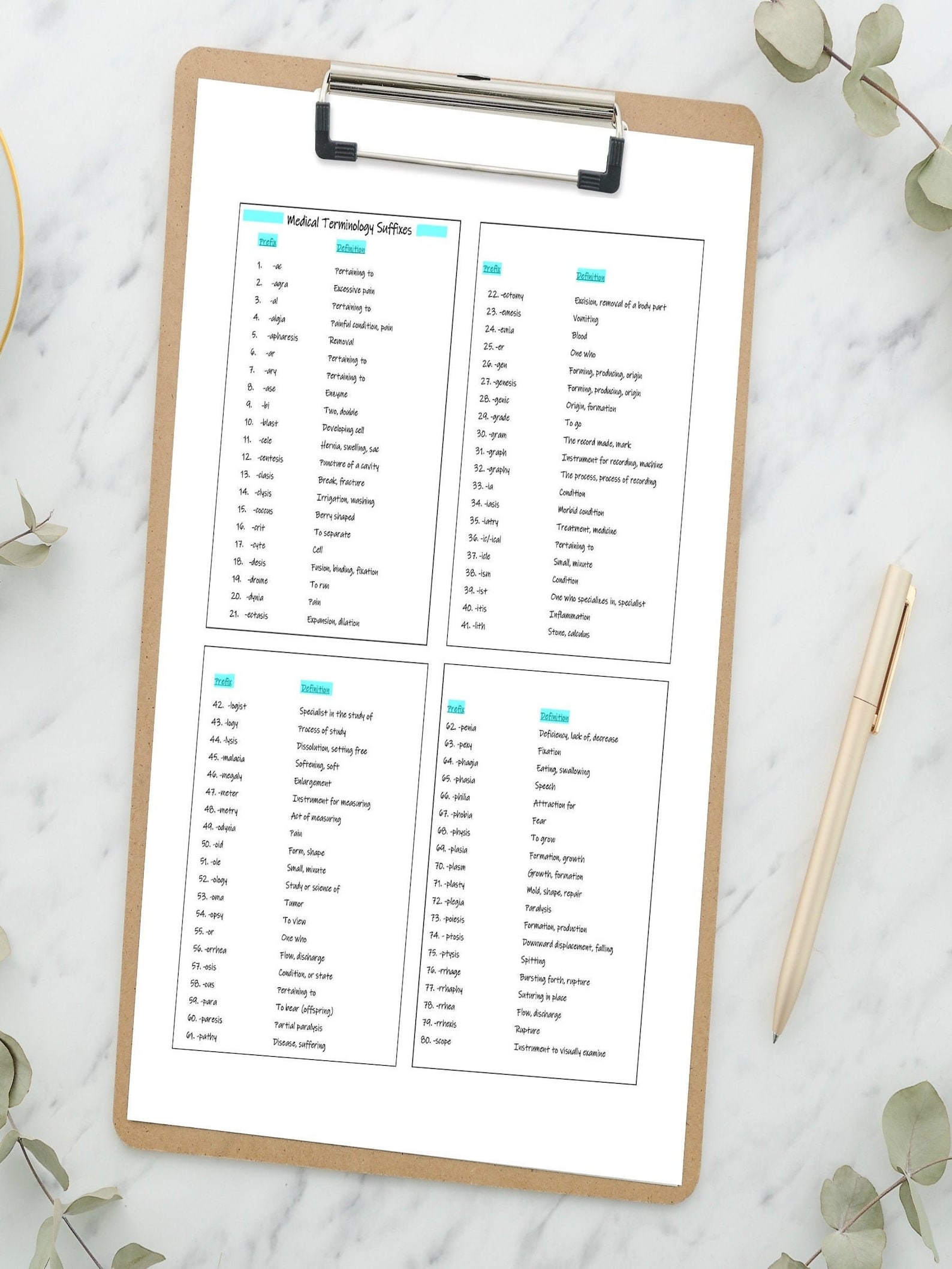 Medical Terminology Suffixes Flashcards - Etsy