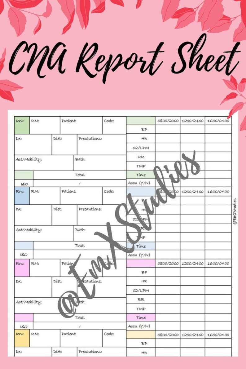 CNA Report Sheet CNA daily flowsheet | Etsy