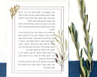Olive Branch Hebrew Prayer for Israel