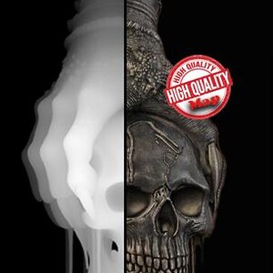 May include: A split image of a skull pendant. The right side is a detailed, metallic skull with a textured surface. The left side is a blurred, white, ghostly image of the skull. A red and white "HIGH QUALITY Map" sticker is on the right.