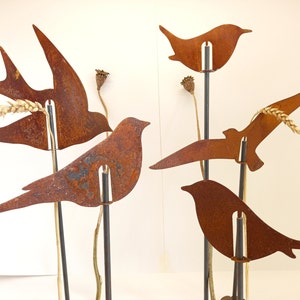 A flock of rusty birds