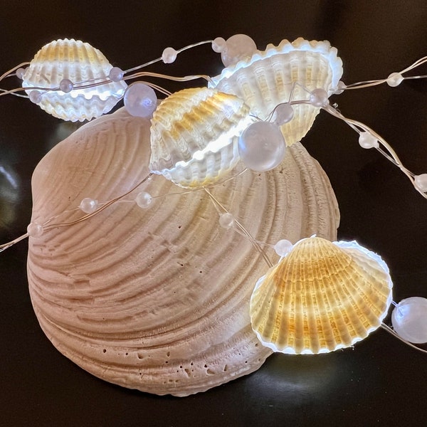 Beach shell light, shell lights, sheashell lights, shell light garland, shell fairy lights, garland sea light