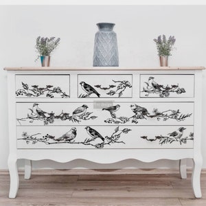 RETIRED Redesign With Prima "Birds & Berries" Decor Transfer, Rub On Image Transfer, White And Black Decal For Furniture, Walls And Projects