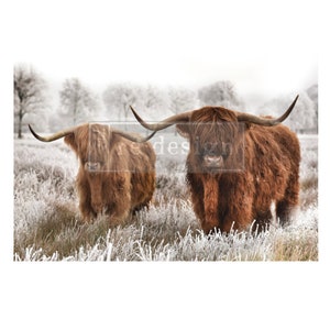 Redesign With Prima HIGHLAND HARMONY Decoupage Fiber, Tear & Wrinkle Resistant, Large Decoupage Paper, Highland Cows, Brown Cow