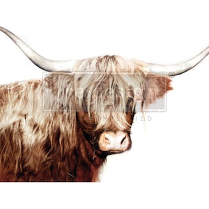 Redesign With Prima MAJESTIC MOO Decoupage Fiber, Tear & Wrinkle Resistant, Large Decoupage Paper, Highland Cows, Brown Cow, Shaggy Cow