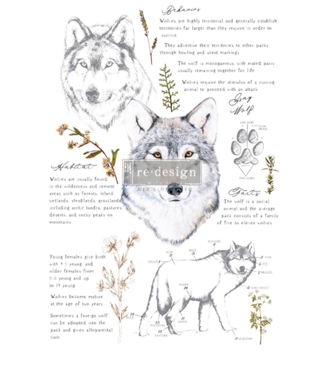 Gray Wolf Decor Transfer Redesign With Prima Rub on Image Etsy