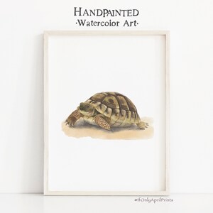 Turtle Watercolor print, INSTANT DOWNLOAD, Nursery Decor, Animal poster, Animal wall art, Baby room decor, Nursery decor, Montessori room
