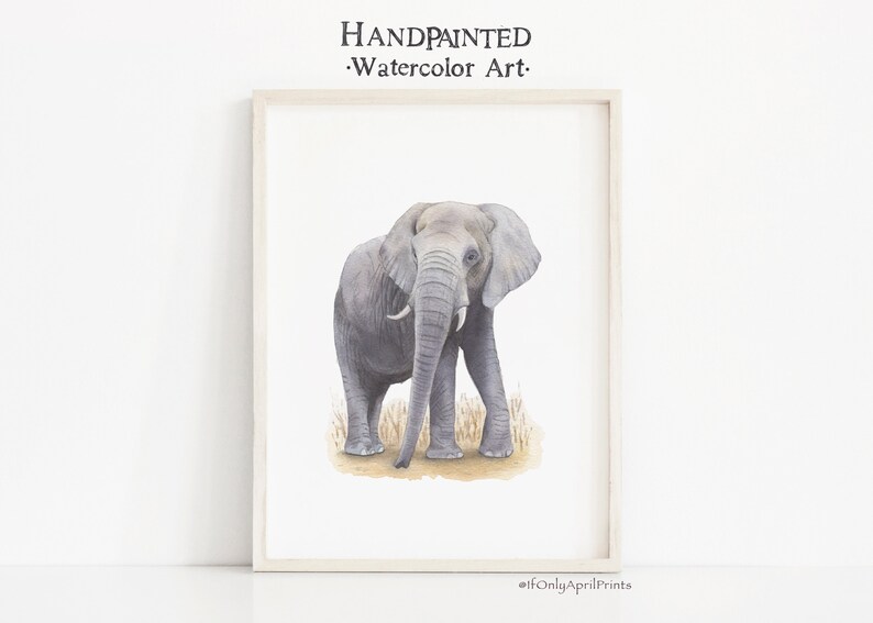 May include: A watercolor painting of a gray elephant standing in tall grass. The elephant is facing forward with its trunk lowered. The painting is framed in a white frame.