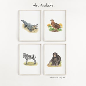 May include: A set of four framed prints featuring illustrations of an alligator, a quail, a zebra, and a chimpanzee. The prints are all in a white frame with a light wood finish. The text "#PrintsforEveryOne" is at the bottom of the image.