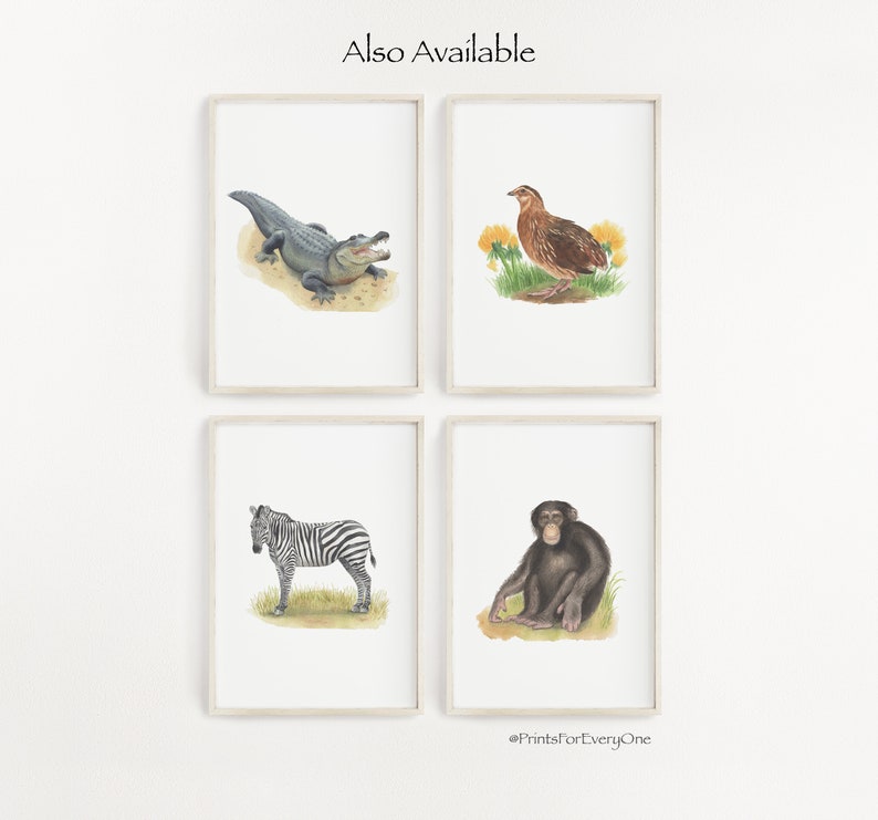 May include: A set of four framed prints featuring illustrations of an alligator, a quail, a zebra, and a chimpanzee. The prints are all in a white frame with a light wood finish. The text "#PrintsforEveryOne" is at the bottom of the image.