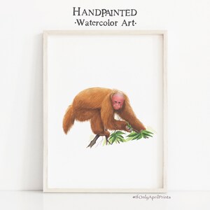 Uakari Aquarell Druck, SOFORT DOWNLOAD, Safari Kinderzimmer, Affe Druck, Tier Wandkunst, Babyzimmer Dekor, Kinderzimmer Dekor, Montessori