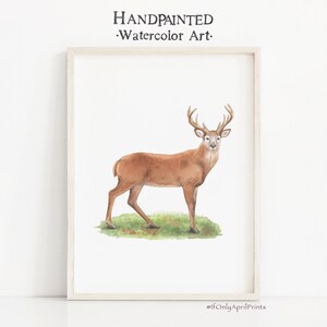 Deer Watercolor Art, INSTANT DOWNLOAD, Woodland nursery, Nature art, Animal wall art, Baby room, Nursery decor, Montessori decor