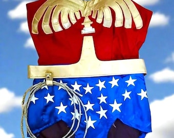 Wonder-ful Woman Costume Custom Made