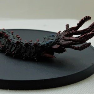 Giant Centipede