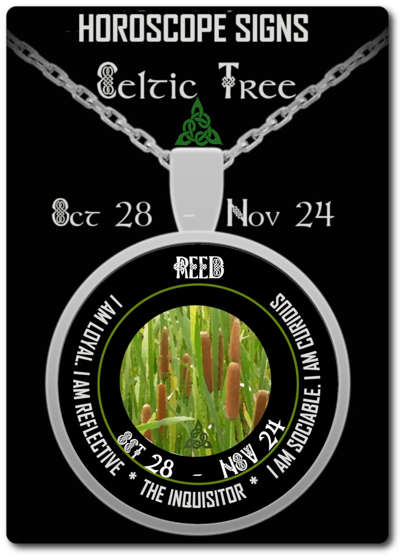 Celtic Family Tree of Life Necklace. A Reed Zodiac Necklace Etsy