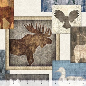 May include: A collage of framed images featuring various woodland animals, including a moose, an owl, a deer, and a duck. The images are set against a white background with a subtle floral pattern.