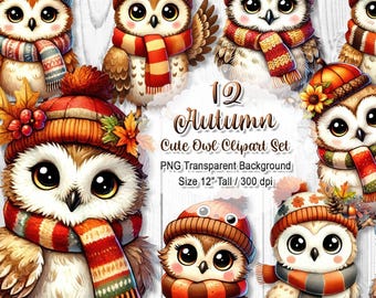 Cute Autumn Owl Clipart, Fall Animal PNG Bundle, Cozy Owl Sublimation, Watercolor Bird Graphic, Digital Download Art Set, 12" 300 dpi