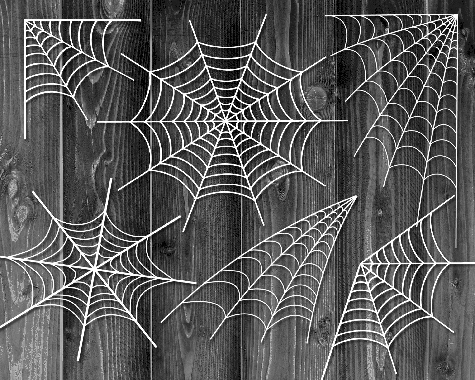 Halloween Spider SVG Instant Digital Download for Creative - Etsy