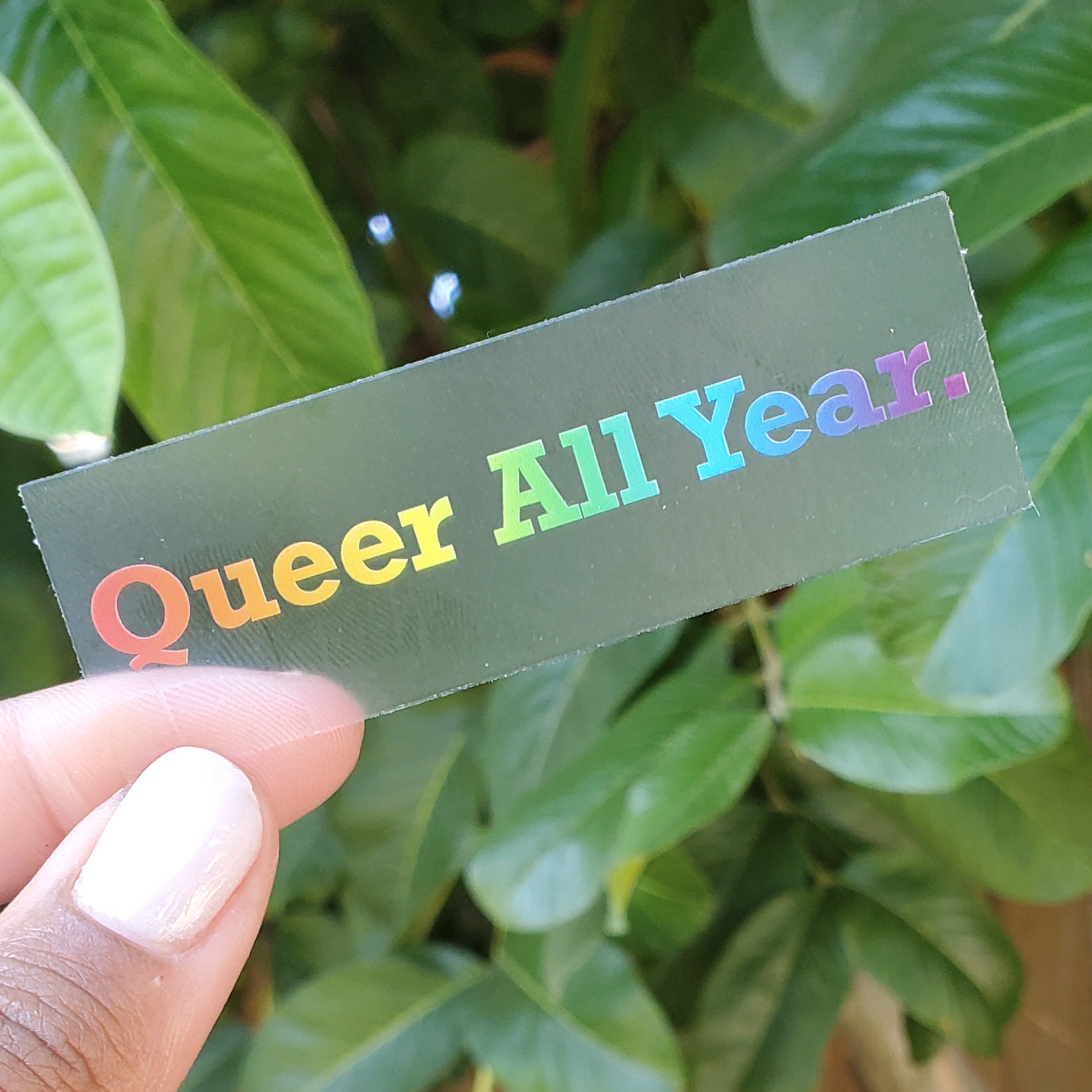 Queer All Year Rainbow Pride Sticker