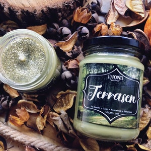 Terrasen - Throne of Glass Inspired Soy Candle Scent Notes: Fir Needle, Sage, Rosewood  Spearmint