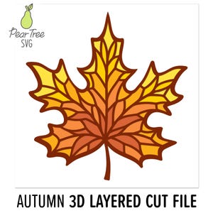 Foglia autunnale 3D in vetro colorato SVG, colori del tramonto autunnale con scatola ombra a strati, foglia d'acero, carta tagliata, natura, boho, design del file di taglio per Cricut Silhouette