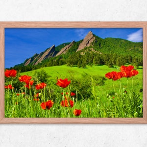 Flatirons gerahmt Druck, Colorado Landschaft Foto, Mohnblumen Wandkunst, Landschaft Fotografie Druck, Colorado Wand-Dekor, Boulder Colorado Foto