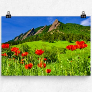 Flatirons Poster Print, Colorado Landscape Photo, Poppies Wall Art, Landscape Photography Print, Colorado Wall Decor, Boulder Colorado Photo