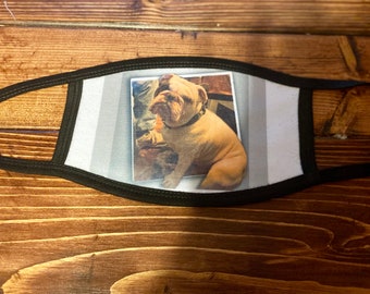 Cloth Mask, Dog on Mask,Custom Medical Masks, Allergy Mask, Washable Mask, Protective 2layer  Face Mask,Fast Ship