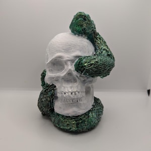 Gothic skull with real snake shed, gothic decor, gothic gift, serpent , snake, animal reptile gift , wiccan gift, witch,