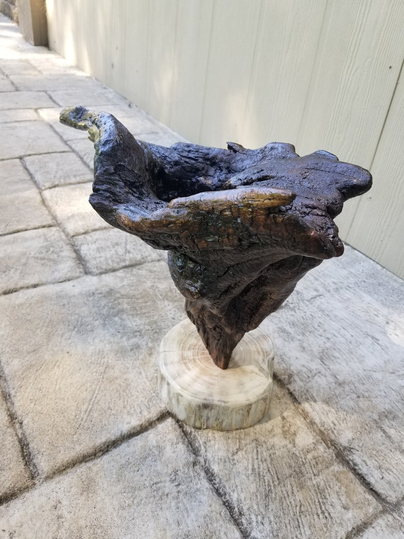Driftwood Free Standing Sculpture