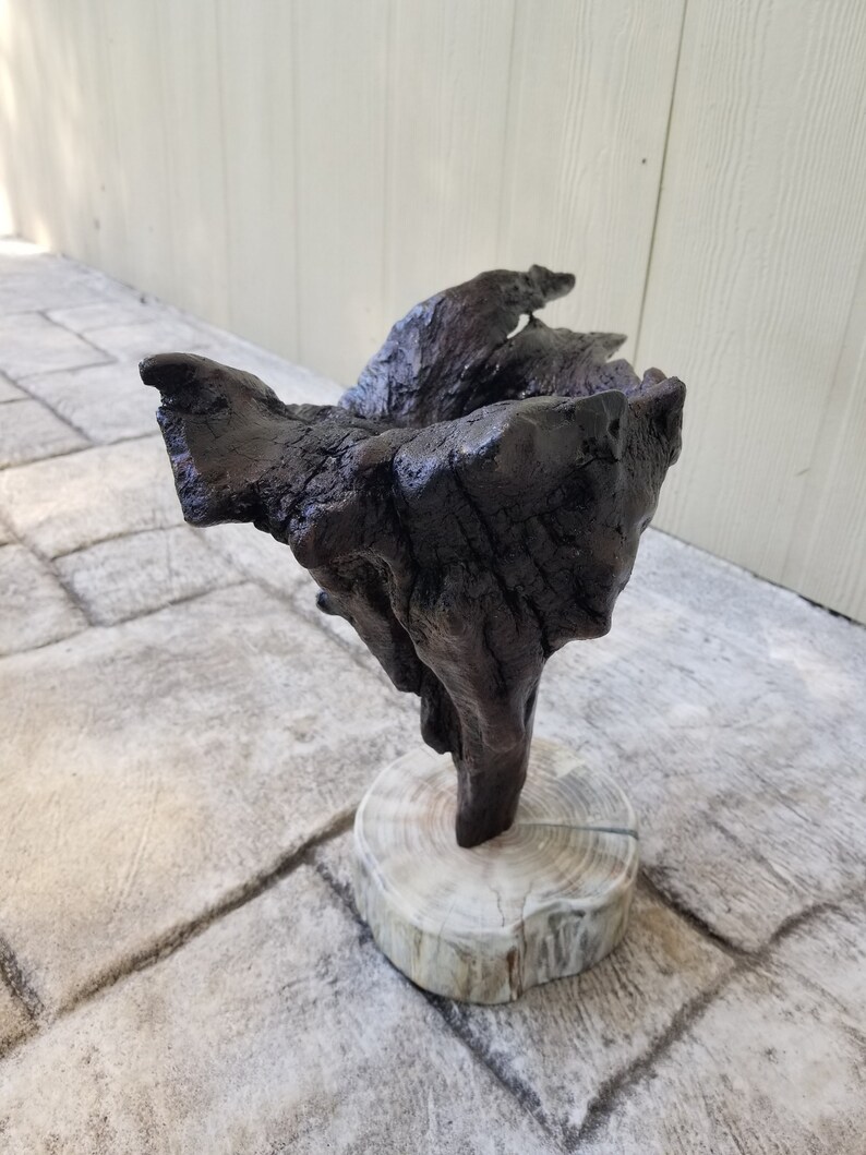 Driftwood Free Standing Sculpture