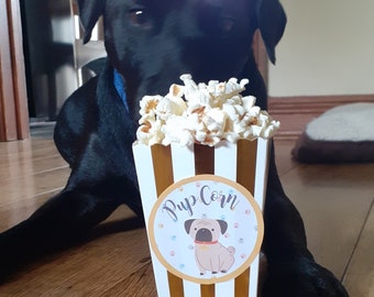 Pupcorn! Dog popcorn in a carton or cone. Low fat dog treat.