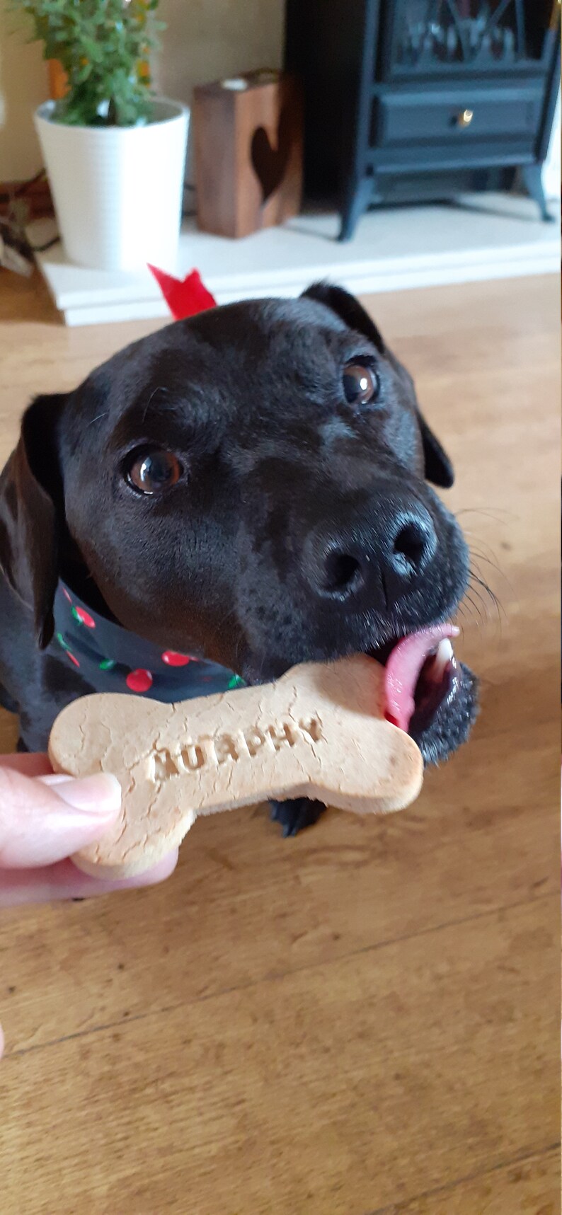 Personalised Dog treat. Organic Banana and natural peanut butter dog cookies with your own message. Vegan & gluten free image 4