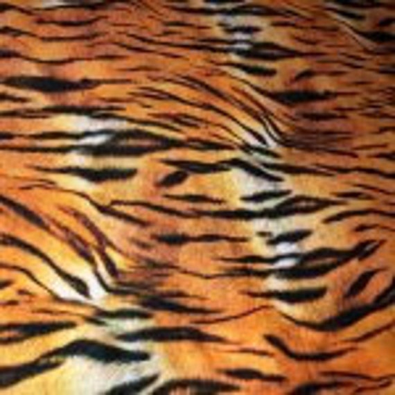 Animal Kingdom Tiger Skin Fabric by Robert Kaufman 784626166653 this is for  a 1.5 Yard Cut -  Finland