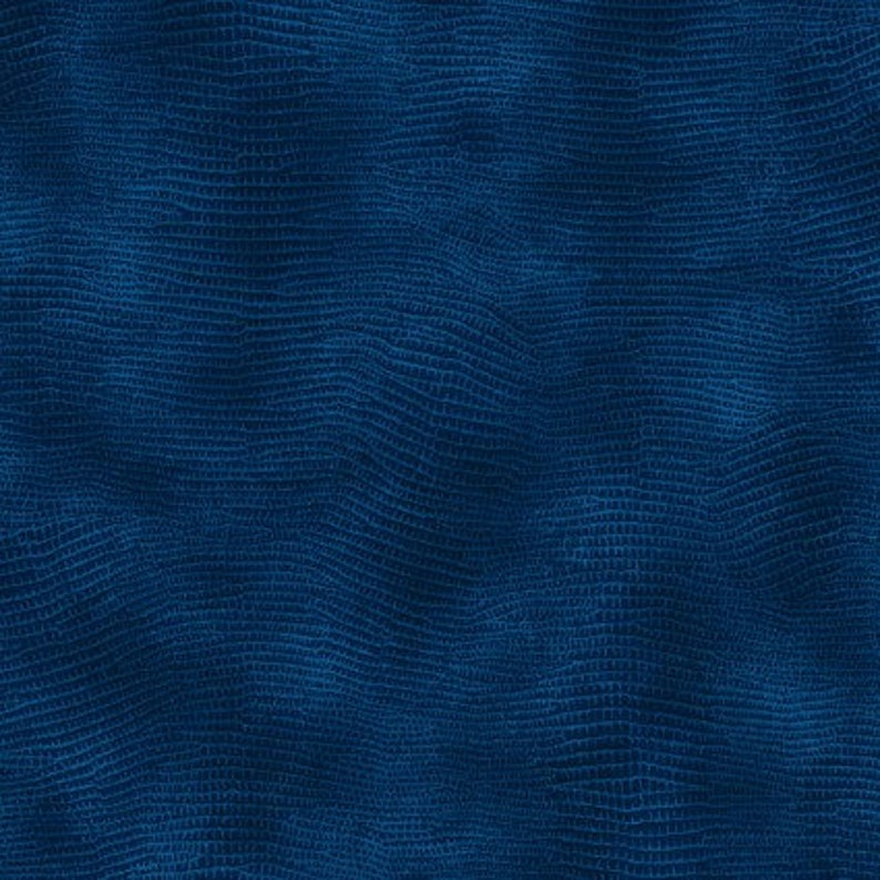Equipoise Blue Wide Back 108 WOF QUILT BACKING 3 Yard Cut #183 20023