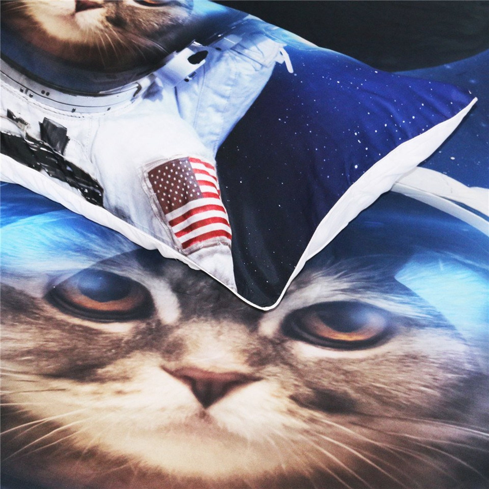 kitten astronaut